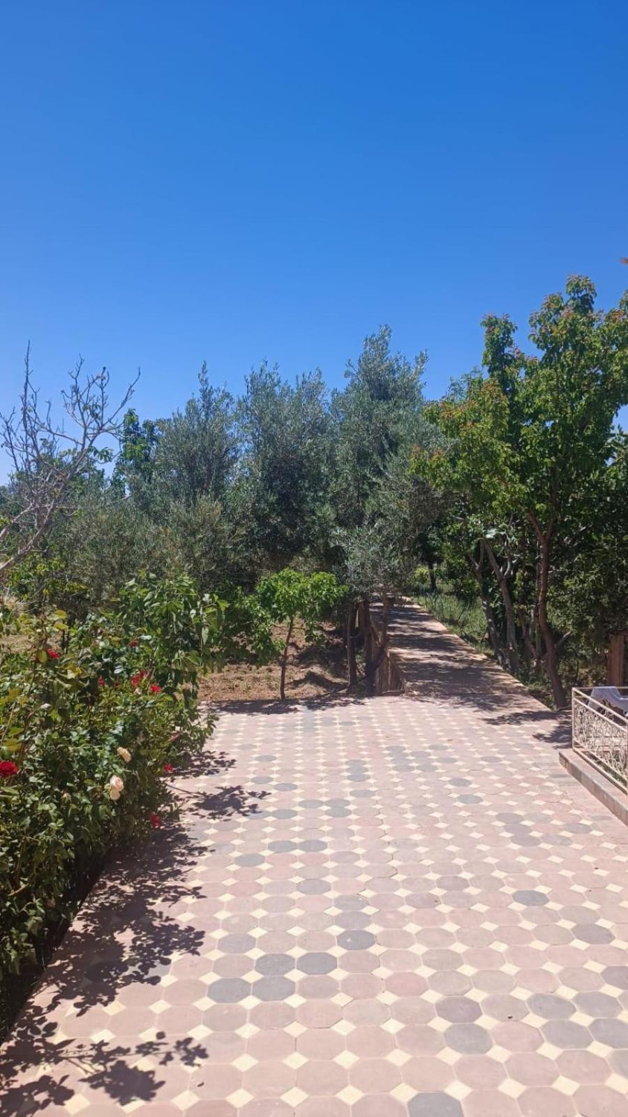 Chez L'Habitant Amazigh Ουαρζαζάτ Εξωτερικό φωτογραφία